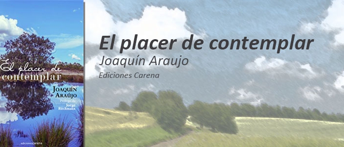 el placer de contemplar - Espacio Atenea
